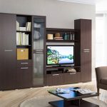 Living cu culori wenge