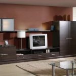 Living cu culori wenge