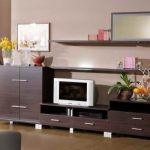 Living cu culori wenge