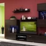 Living cu culori wenge