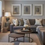 Culori living cu gri
