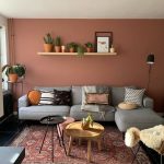 Culori living cu tonuri de pamant